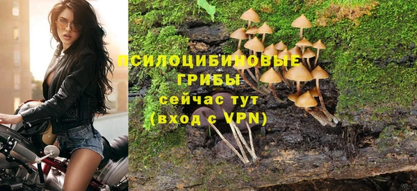 эйфоретик Верхний Тагил