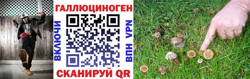 darknet какой сайт  что такое наркотик  Ишим  Галлюциногенные грибы ЛСД 